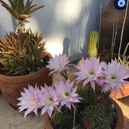 Hotel Nomia Boutique 3*