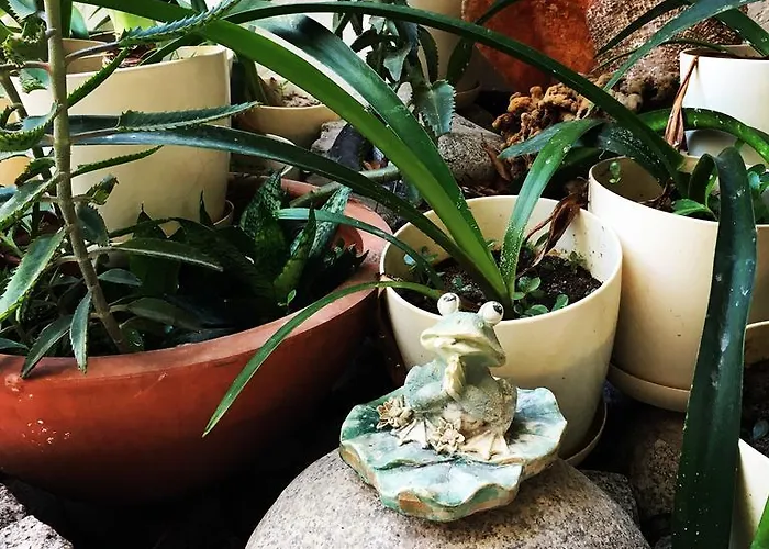 Ξενοδοχείο Nomia Boutique