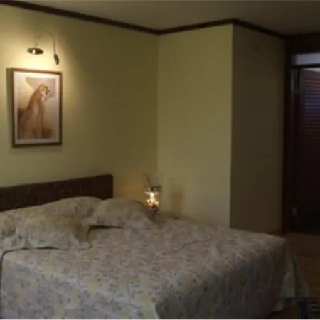 호텔 Nomia Boutique 3*