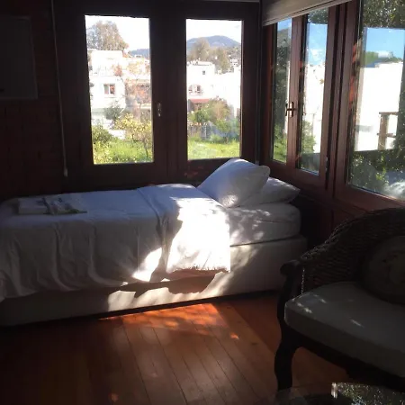 Nomia Boutique 얄리카베크