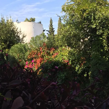 Nomia Boutique 호텔