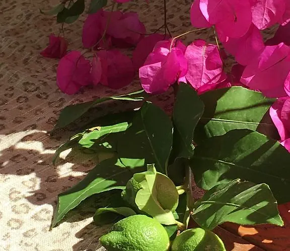 Otel Nomia Boutique 3*