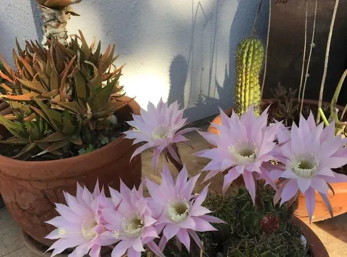 Otel Nomia Boutique 3*